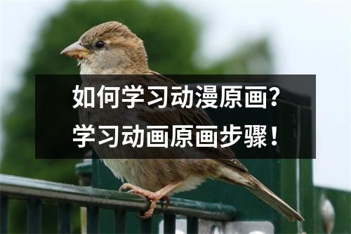 如何学习动漫原画？学习动画原画步骤！