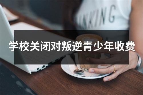 学校关闭对叛逆青少年收费