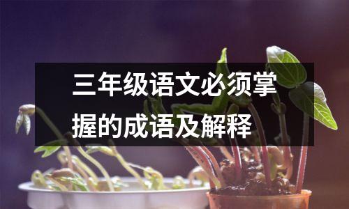 三年级语文必须掌握的成语及解释
