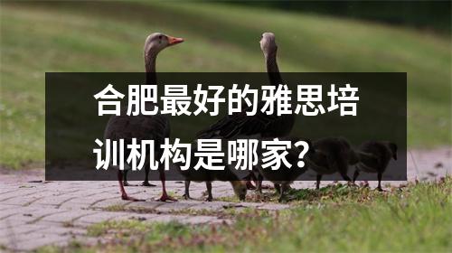 合肥最好的雅思培训机构是哪家？