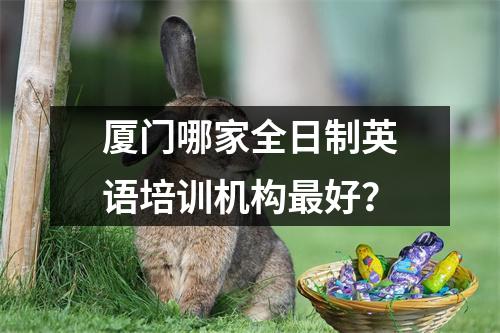 厦门哪家全日制英语培训机构最好?