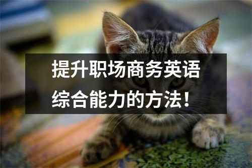 提升职场商务英语综合能力的方法!