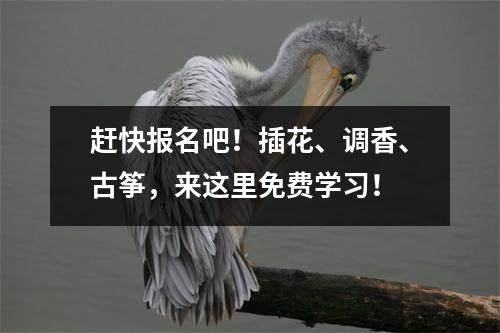 赶快报名吧!插花、调香、古筝,来这里免费学习!