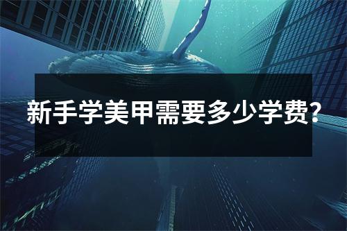 新手学美甲需要多少学费?