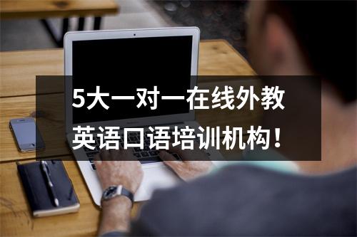 5大一对一在线外教英语口语培训机构!