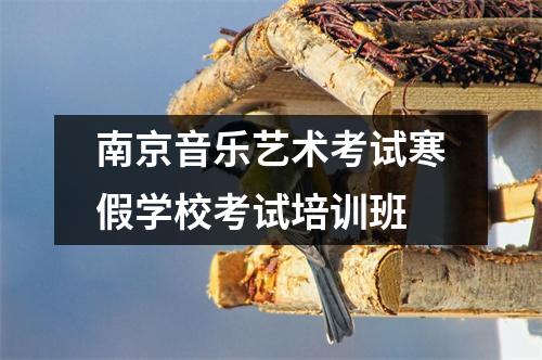 南京音乐艺术考试寒假学校考试培训班