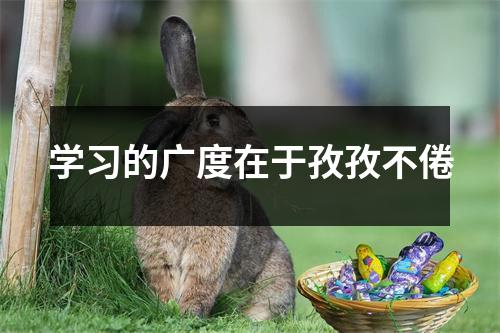 学习的广度在于孜孜不倦
