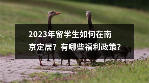2023年留学生如何在南京定居?有哪些福利政策?