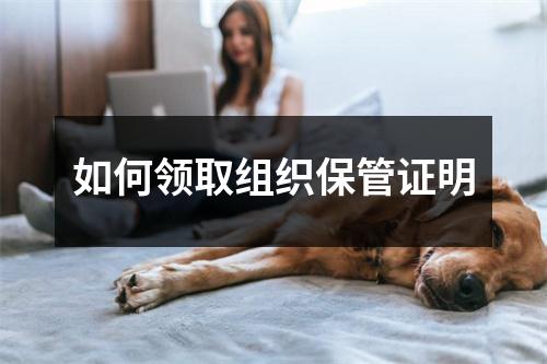 如何领取组织保管证明