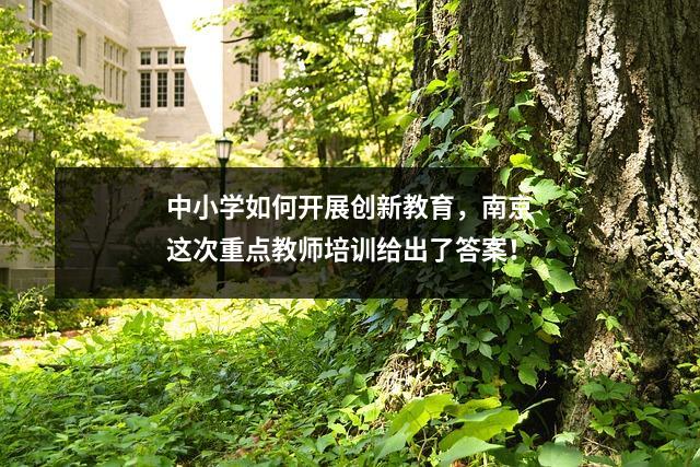 中小学如何开展创新教育,南京这次重点教师培训给出了答案!