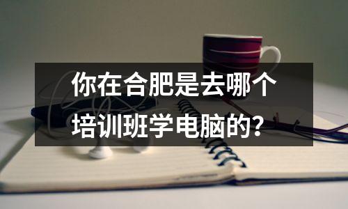 你在合肥是去哪个培训班学电脑的？