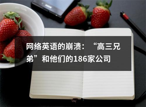 网络英语的崩溃:“高三兄弟”和他们的186家公司