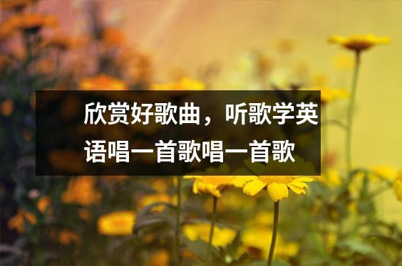欣赏好歌曲，听歌学英语唱一首歌唱一首歌