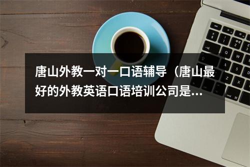 唐山外教一对一口语辅导(唐山最好的外教英语口语培训公司是哪家)