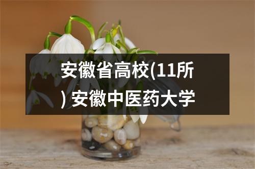 安徽省高校(11所) 安徽中医药大学