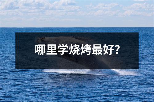哪里学烧烤最好?
