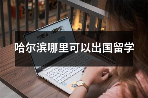 哈尔滨哪里可以出国留学