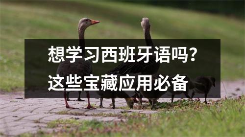 想学习西班牙语吗？这些宝藏应用必备
