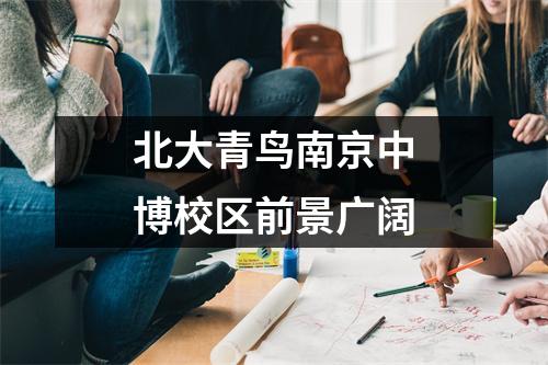 北大青鸟南京中博校区前景广阔