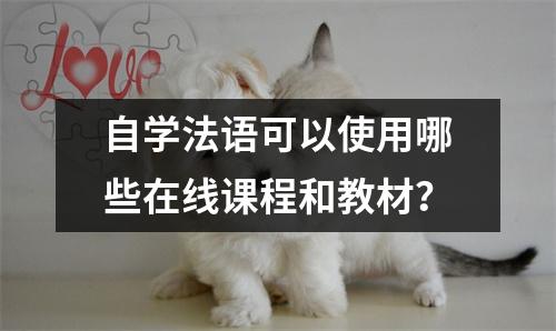 自学法语可以使用哪些在线课程和教材?