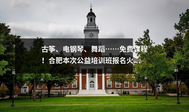 古筝、电钢琴、舞蹈……免费课程！合肥本次公益培训班报名火爆