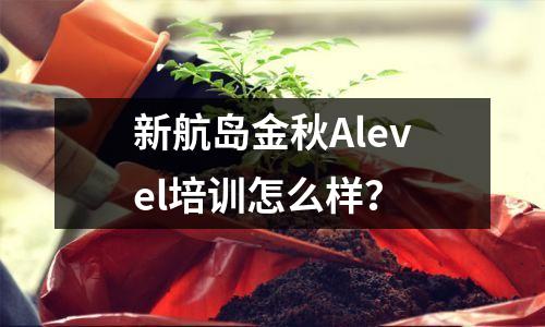 新航岛金秋Alevel培训怎么样?