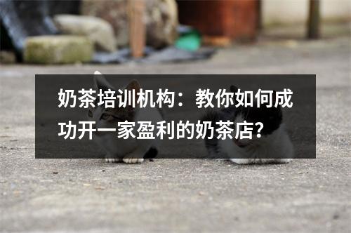 奶茶培训机构:教你如何成功开一家盈利的奶茶店?