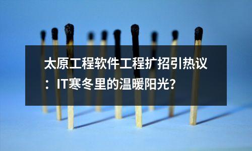 太原工程软件工程扩招引热议:IT寒冬里的温暖阳光?