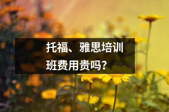 托福、雅思培训班费用贵吗?