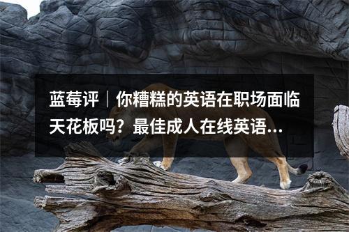 蓝莓评|你糟糕的英语在职场面临天花板吗?最佳成人在线英语语言机构的评论