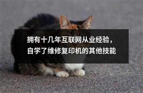 拥有十几年互联网从业经验,自学了维修复印机的其他技能