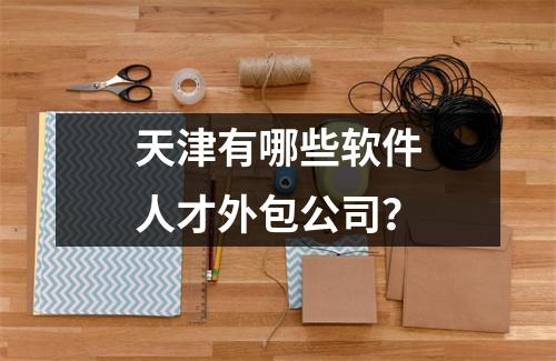 天津有哪些软件人才外包公司?