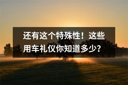 还有这个特殊性!这些用车礼仪你知道多少?