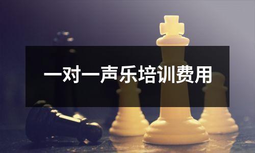 一对一声乐培训费用