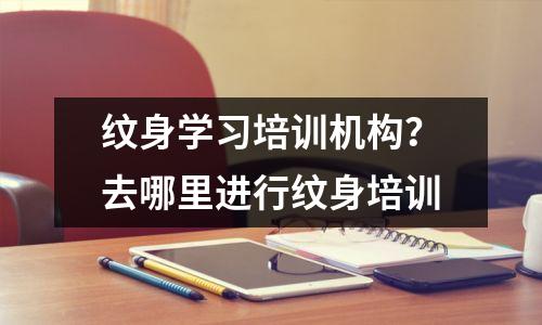 纹身学习培训机构?去哪里进行纹身培训