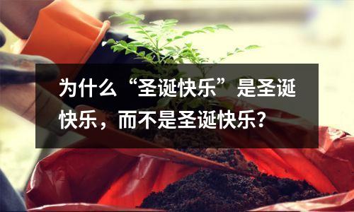 为什么“圣诞快乐”是圣诞快乐，而不是圣诞快乐？