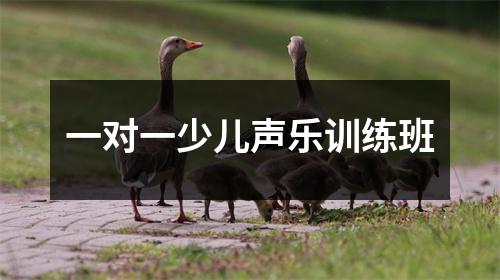 一对一少儿声乐训练班