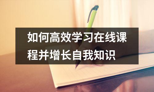 如何高效学习在线课程并增长自我知识