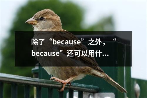 除了“because”之外,“because”还可以用什么来表示?