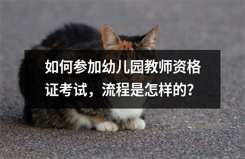 如何参加幼儿园教师资格证考试,流程是怎样的?
