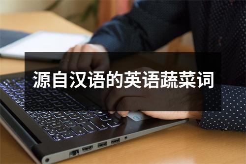 源自汉语的英语蔬菜词
