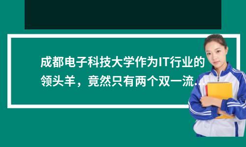 成都电子科技大学作为IT行业的领头羊,竟然只有两个双一流学科?