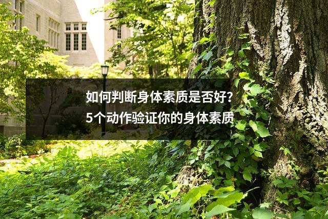 如何判断身体素质是否好? 5个动作验证你的身体素质