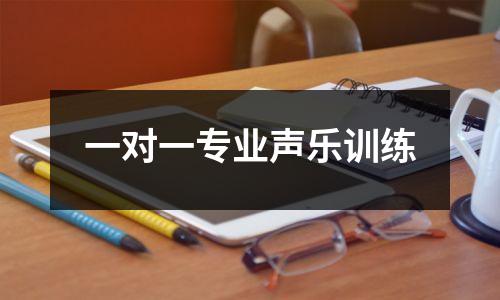 一对一专业声乐训练