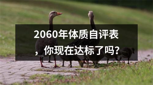 2060年体质自评表,你现在达标了吗?