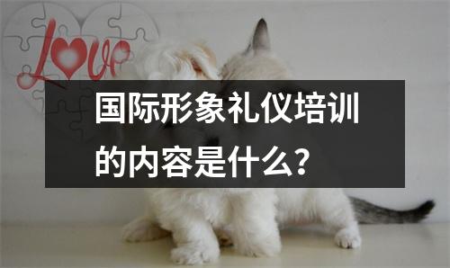 国际形象礼仪培训的内容是什么？