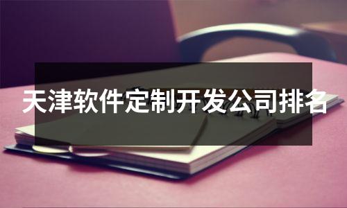 天津软件定制开发公司排名