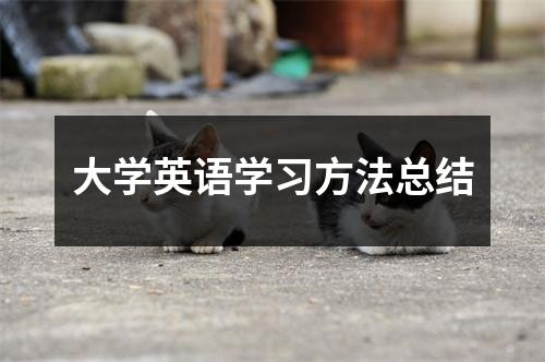 大学英语学习方法总结