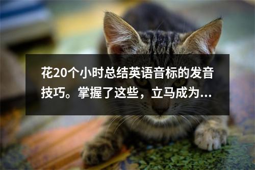 花20个小时总结英语音标的发音技巧。掌握了这些,立马成为学习高手。