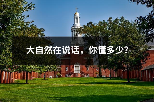 大自然在说话,你懂多少?